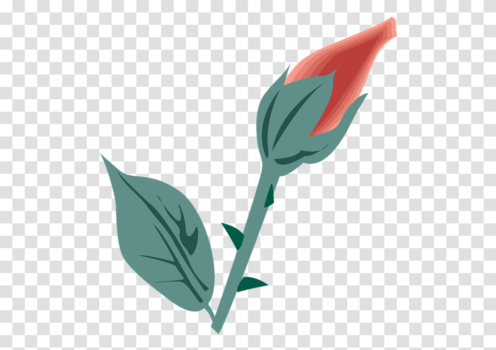 Flower Symbol Icon Free Image On Pixabay Tulip, Plant, Blossom, Bud, Sprout Transparent Png