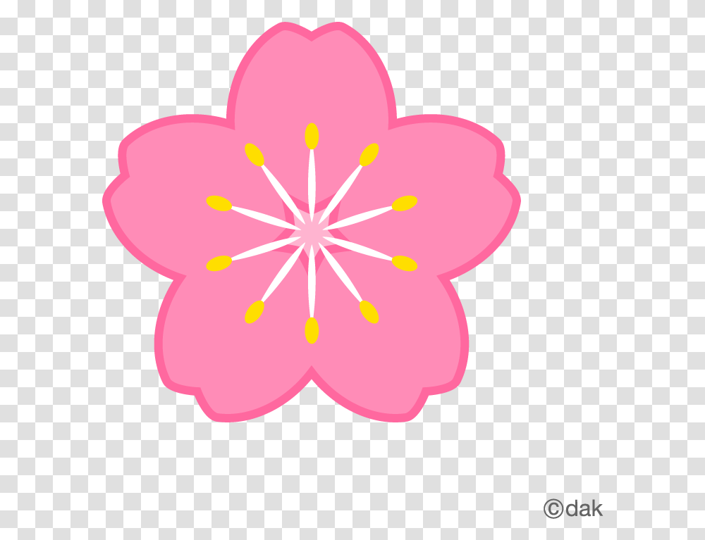 Flower Symbol Of The Cherry Of Clipart, Plant, Anther, Blossom, Hibiscus Transparent Png
