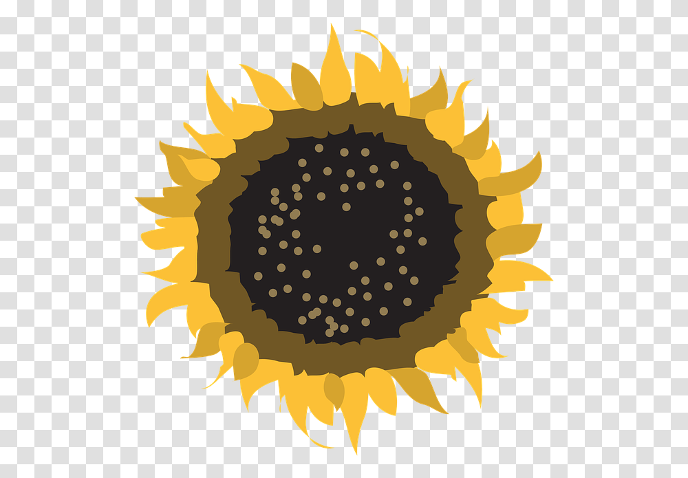 Flower Symbol Sun Nature Design Sign Natural Mooiweer, Plant, Sunflower, Blossom, Pollen Transparent Png