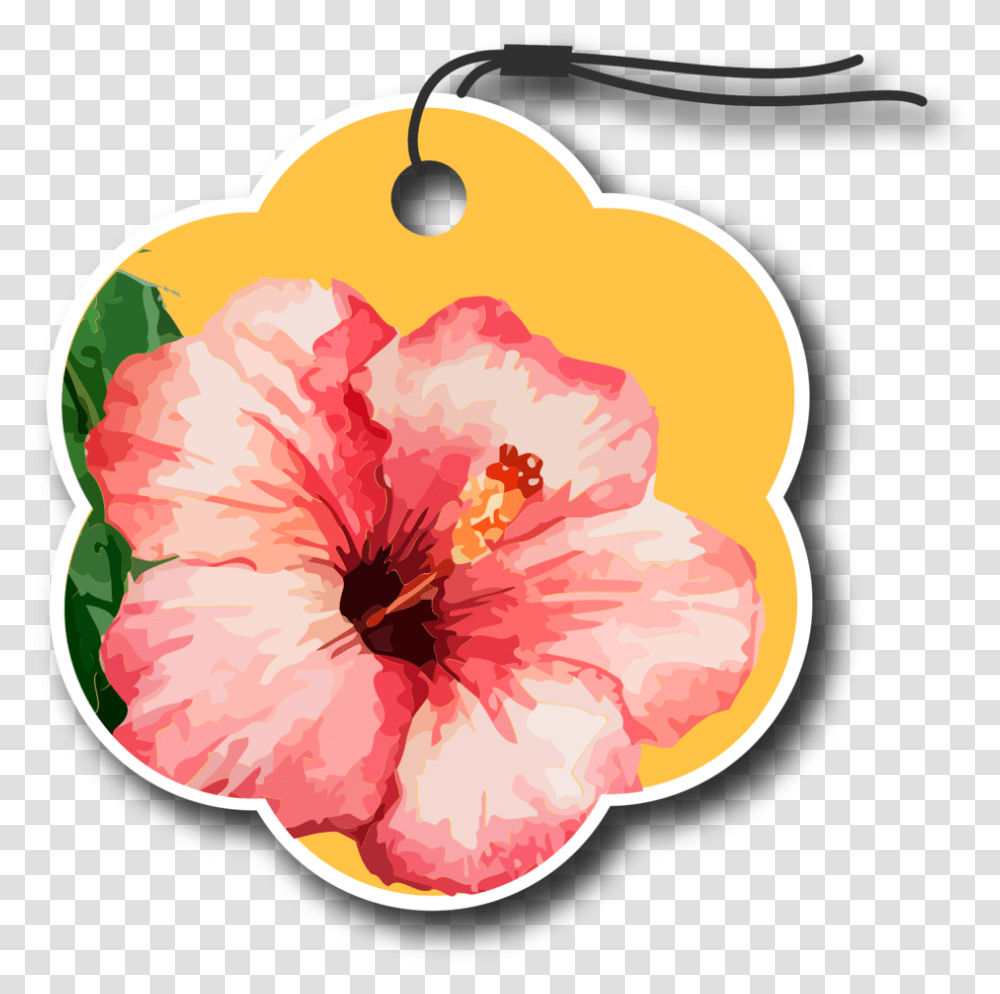 Flower Tag With Background Shoeblackplant, Hibiscus, Blossom, Anther, Petal Transparent Png