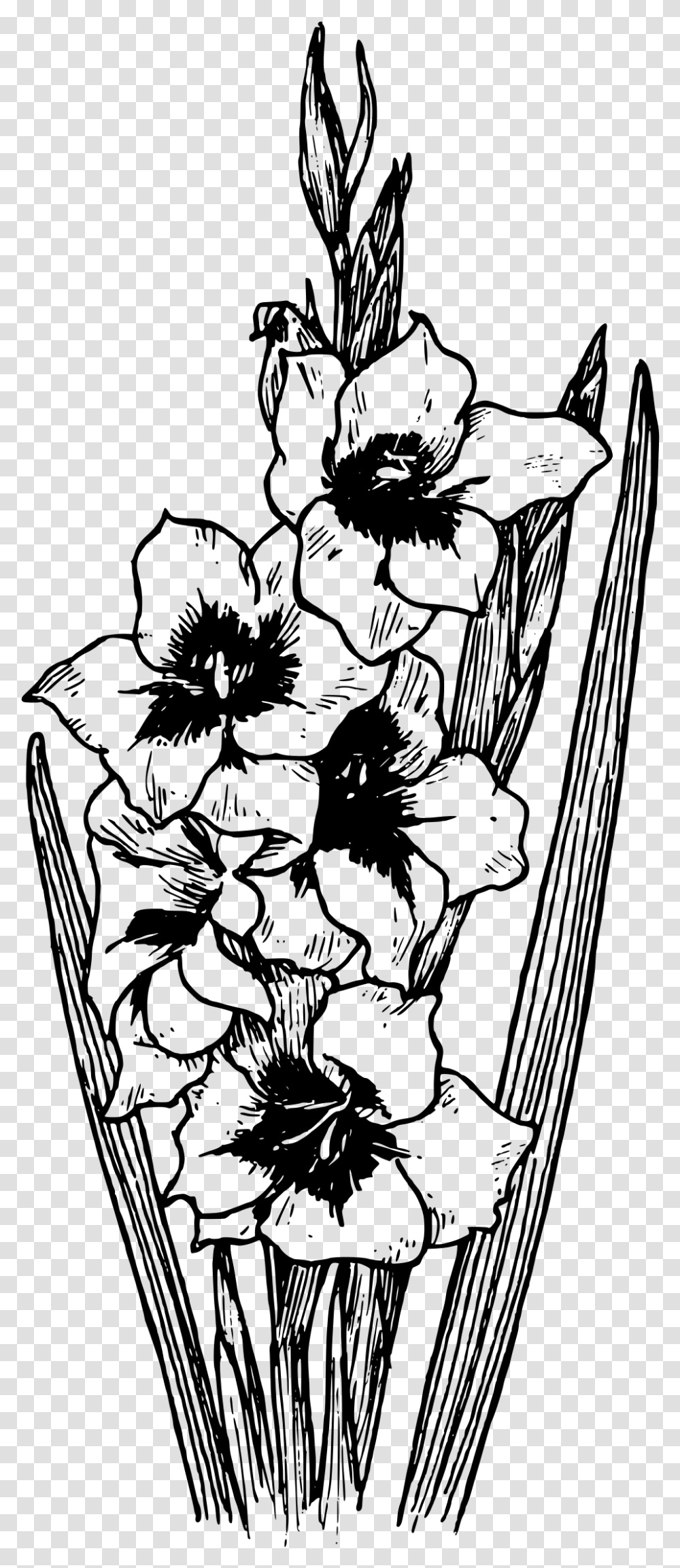Flower Tattoos Gladiolus Black And White, Gray, World Of Warcraft Transparent Png