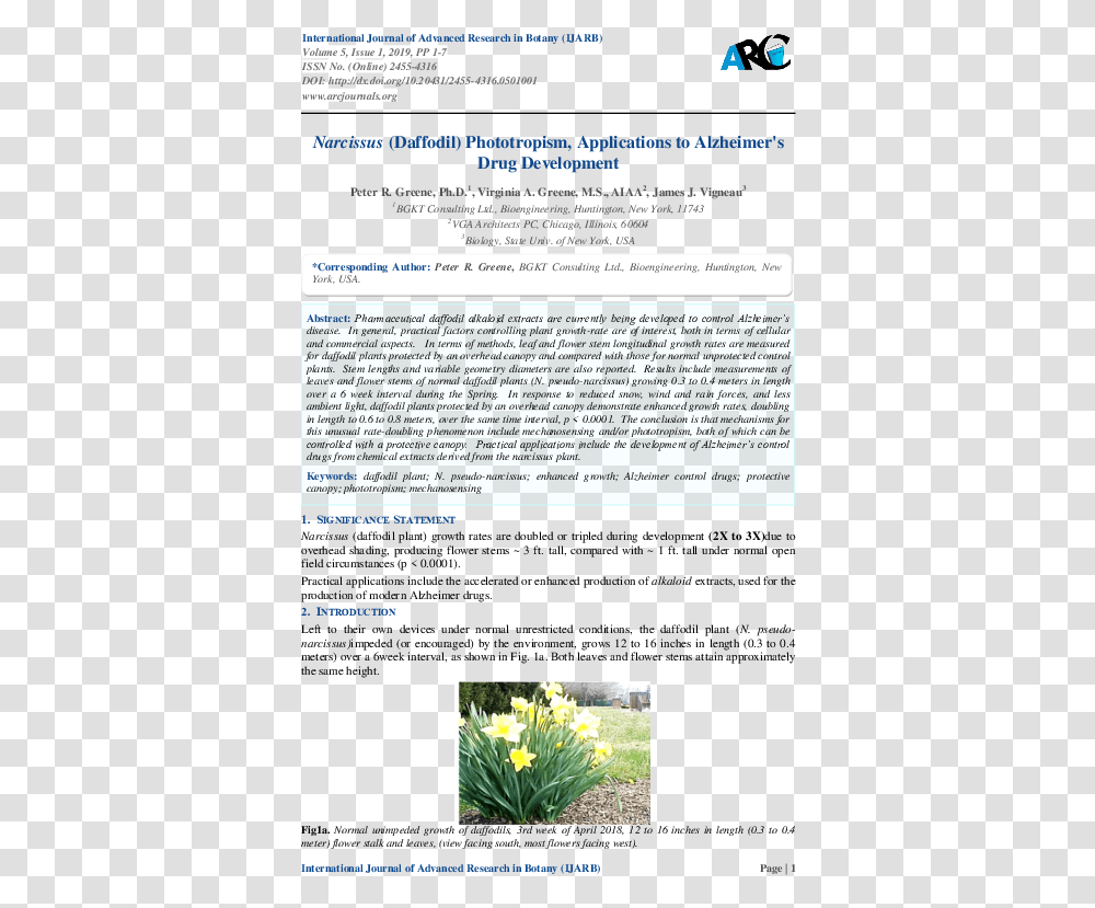 Flower, File, Page, Webpage Transparent Png