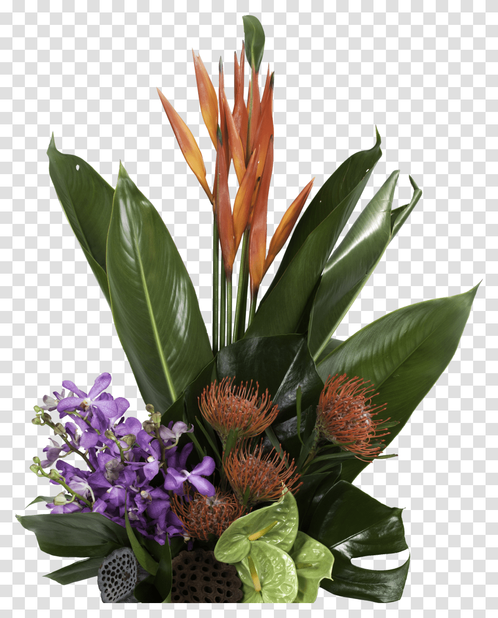 Flower Texture Heliconia Transparent Png