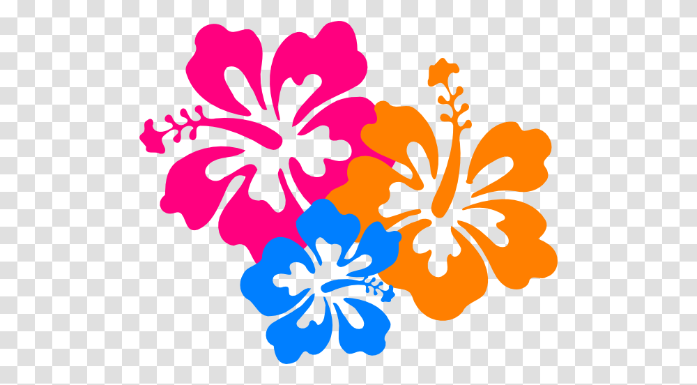 Flower Top Border, Hibiscus, Plant, Blossom, Anther Transparent Png