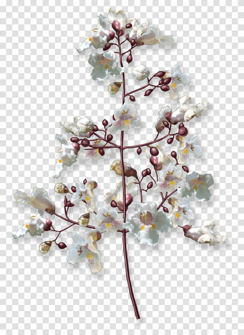 Flower Tree Images, Plant, Petal, Floral Design, Pattern Transparent Png