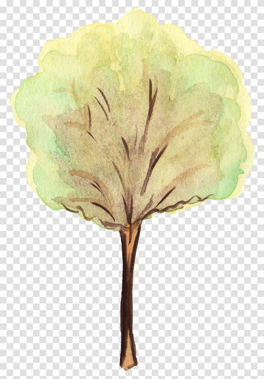 Flower Trees Watercolor Tree Background, Canvas, Floral Design, Pattern Transparent Png