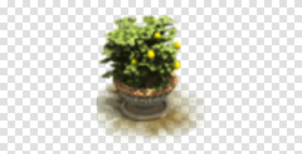 Flower Tub Forge Of Empires Wiki Fandom Flowerpot, Plant, Green, Leaf, Sphere Transparent Png