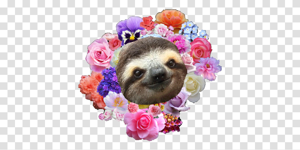 Flower Tumblr Tropical Background Vaporwave Flower, Wildlife, Animal, Mammal, Three-Toed Sloth Transparent Png