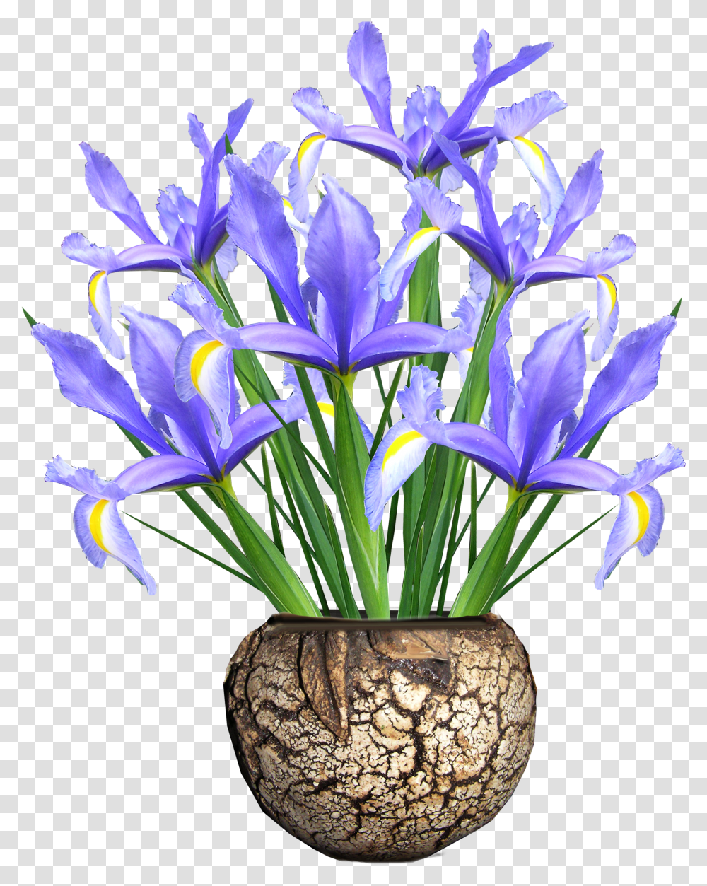Flower Vase Blue Transparent Png