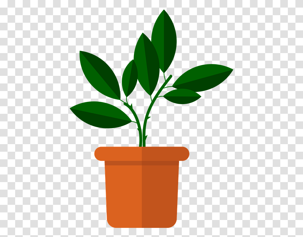 Flower Vase Flowers Free Vector Graphic On Pixabay Flower Vase Vector, Plant, Leaf, Potted Plant, Jar Transparent Png