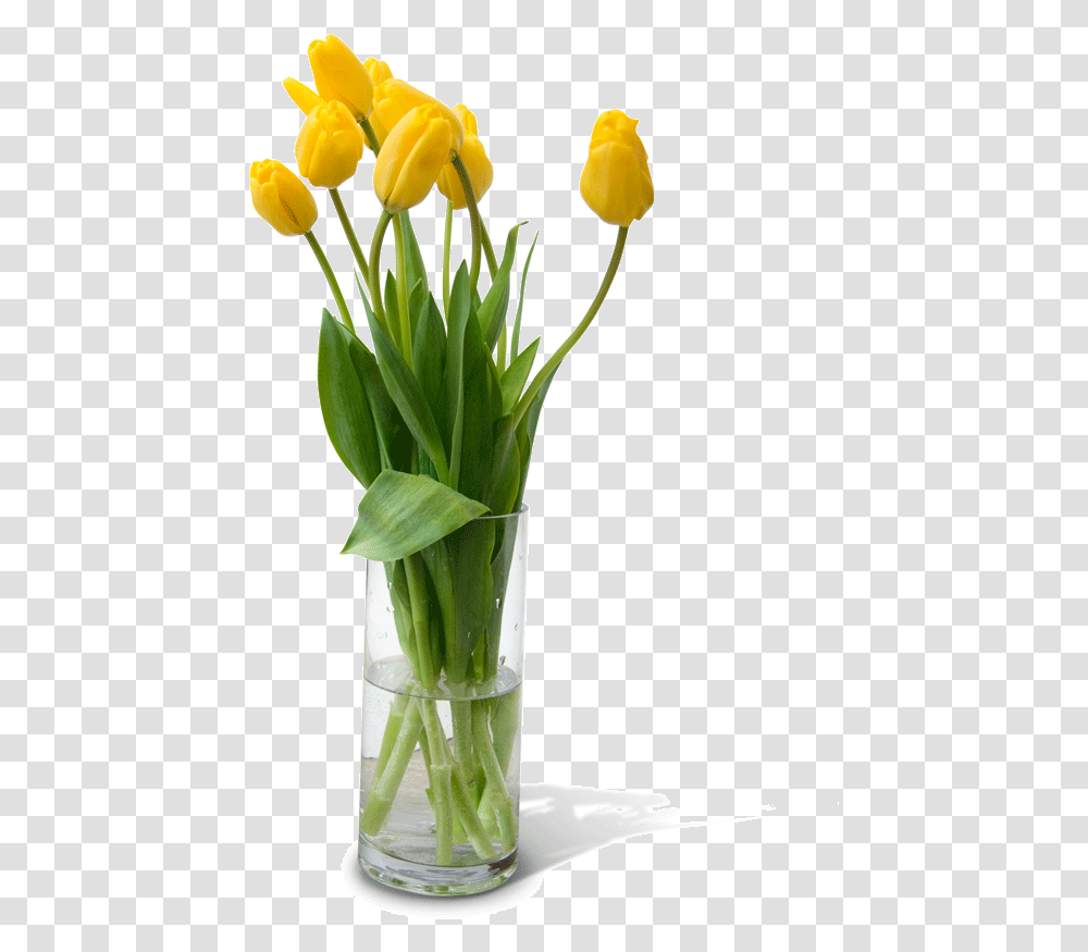 Flower Vase Free Download Flower Vase, Plant, Blossom, Flower Arrangement, Flower Bouquet Transparent Png
