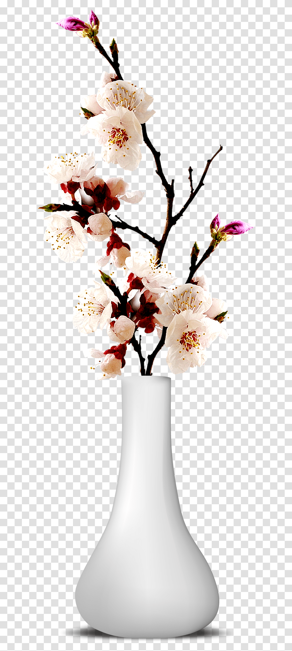 Flower Vase Image Flower Vase, Plant, Blossom, Flower Arrangement, Lamp Transparent Png