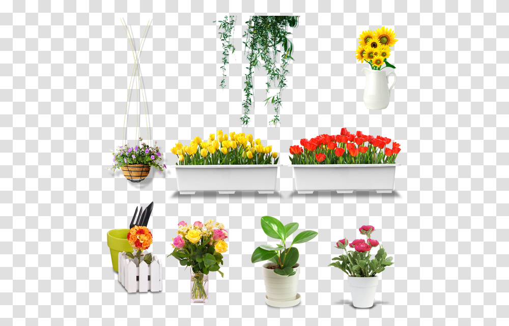 Flower Vase Photo Flower Vase Pot Design Flower Pot, Plant, Flower Arrangement, Jar, Pottery Transparent Png