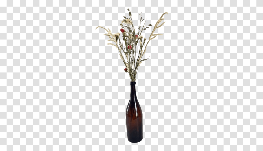 Flower Vase, Plant, Jar, Pottery, Blossom Transparent Png