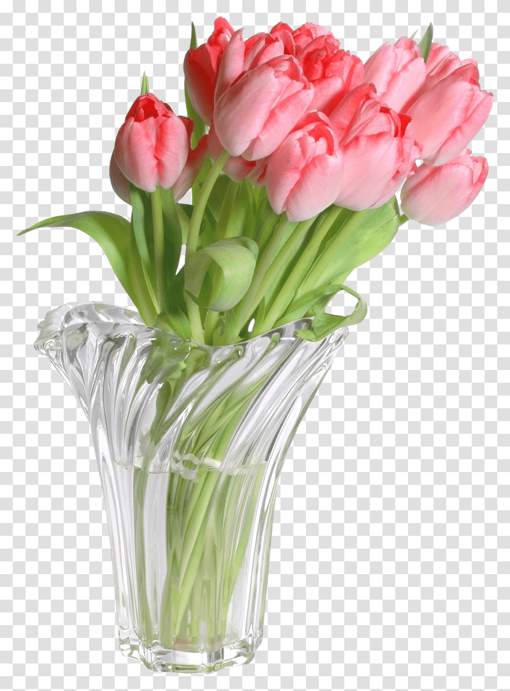 Flower Vases With Bible Verses Flowers In Vase Transparent Png