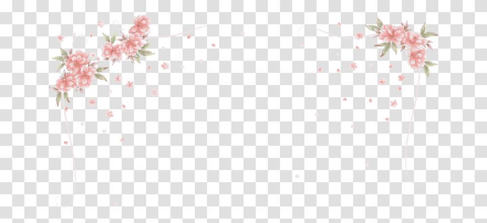 Flower Vector Border, Plant, Petal, Blossom, Paper Transparent Png