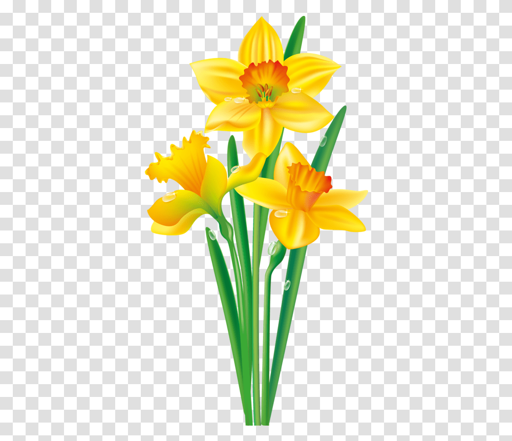 Flower Vector Clipart Daffodil Flower Clip Art, Plant, Blossom, Iris Transparent Png