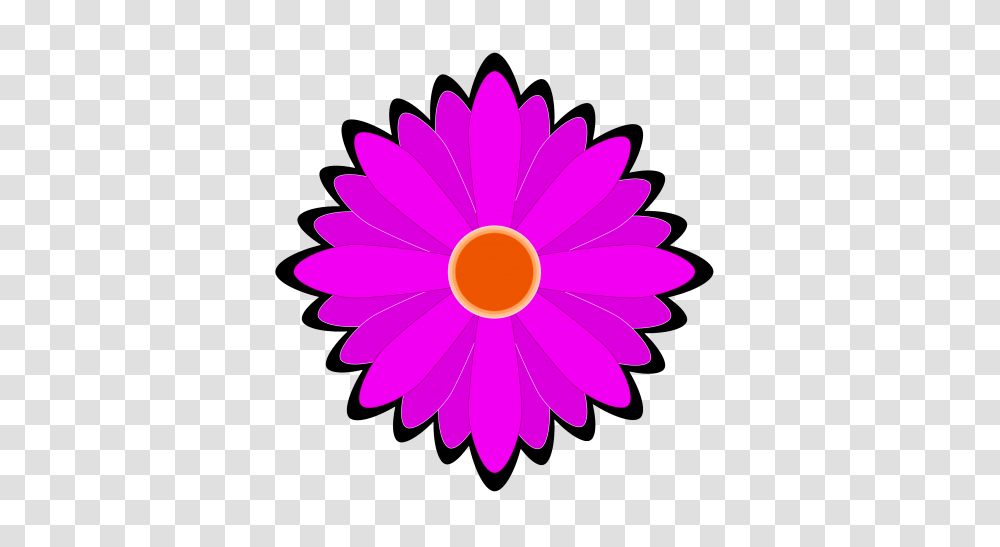 Flower Vector, Daisy, Plant, Daisies, Blossom Transparent Png