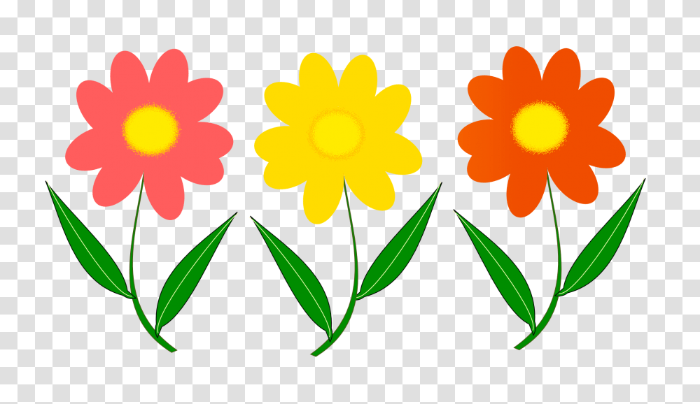 Flower Vector Image, Plant, Blossom, Daisy, Daisies Transparent Png