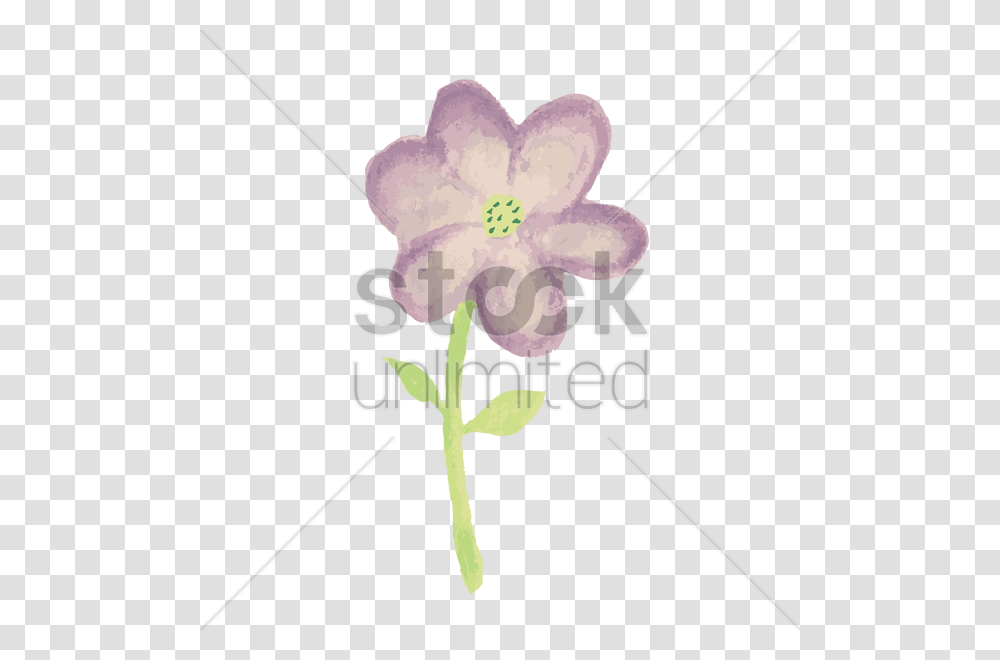 Flower Vector Image, Plant, Blossom, Hibiscus, Anther Transparent Png