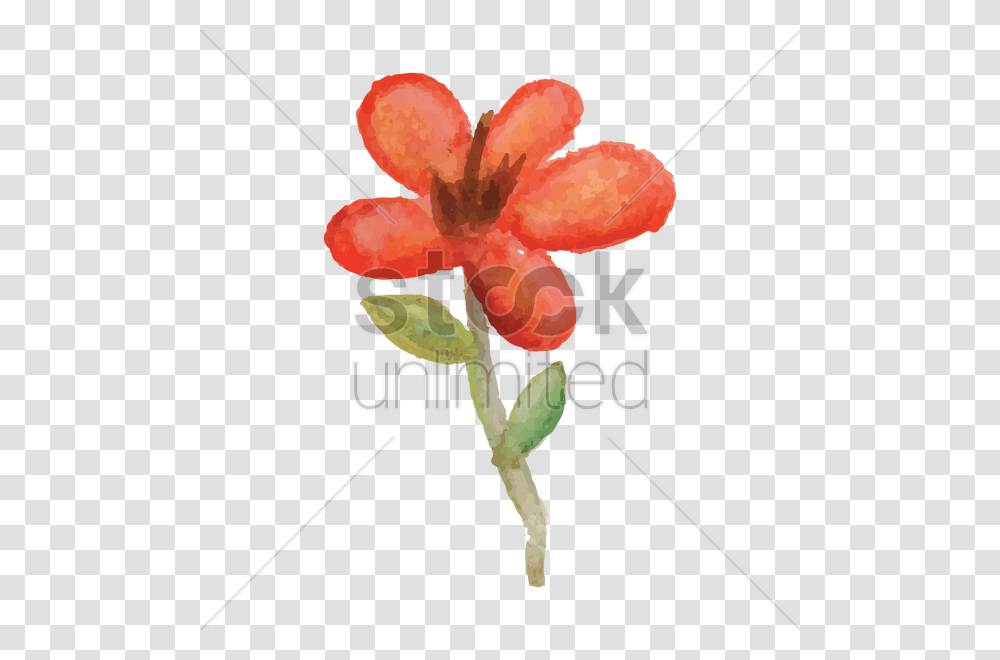 Flower Vector Image, Plant, Blossom, Hibiscus Transparent Png