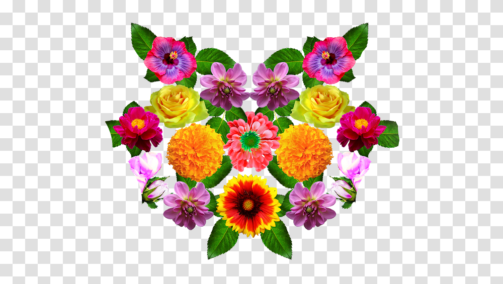 Flower Vector, Plant, Floral Design Transparent Png