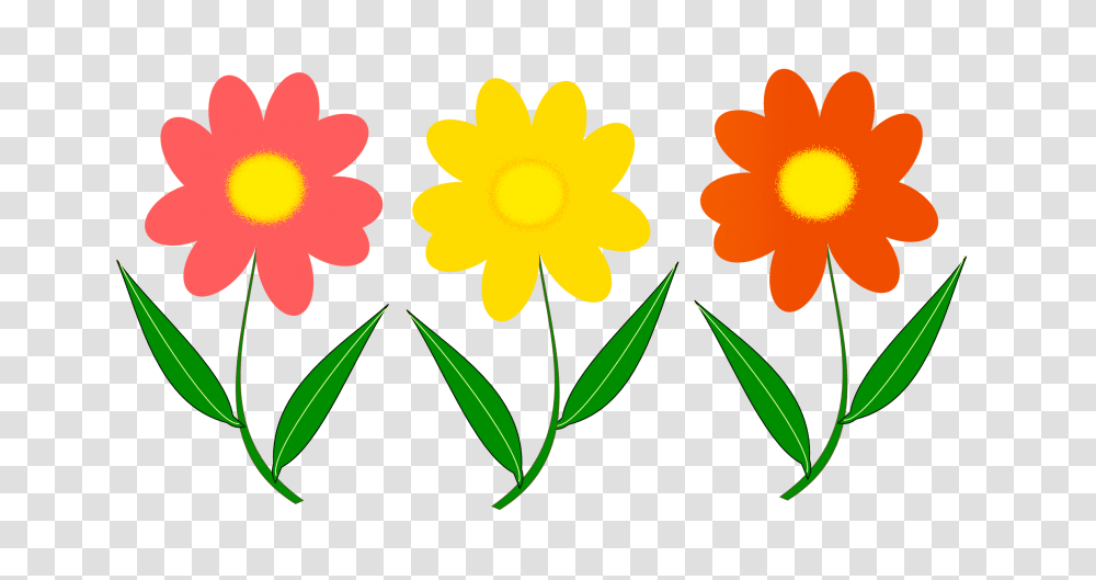 Flower Vector, Plant, Petal, Daisy Transparent Png