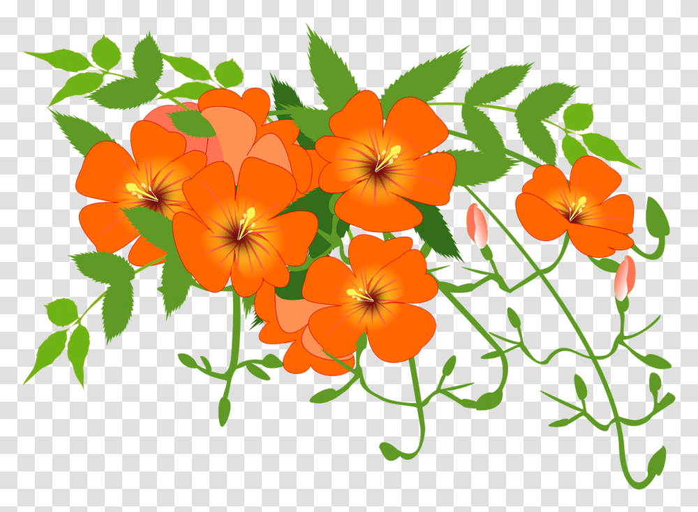 Flower Vine Cartoon, Plant, Blossom, Floral Design Transparent Png