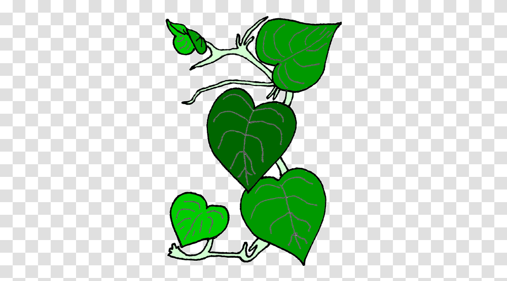 Flower Vine Clip Art Image 19127 Vine Cliparts, Plant, Leaf, Heart, Green Transparent Png