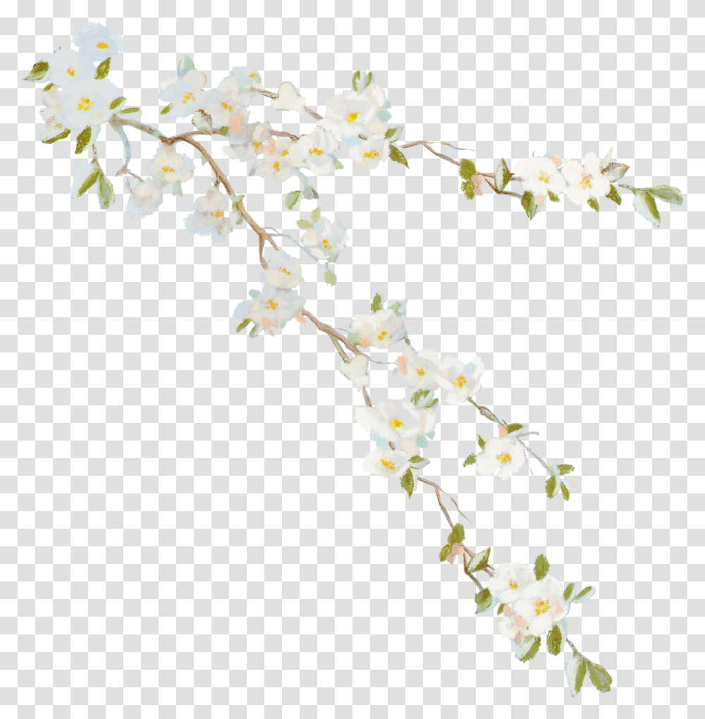 Flower Vine Desktop Wallpaper Clip Art Flower Vine, Plant, Blossom, Petal, Cherry Blossom Transparent Png