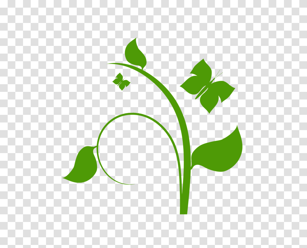 Flower Vine Sweet Pea Floral Design, Leaf, Plant, Green, Sprout Transparent Png