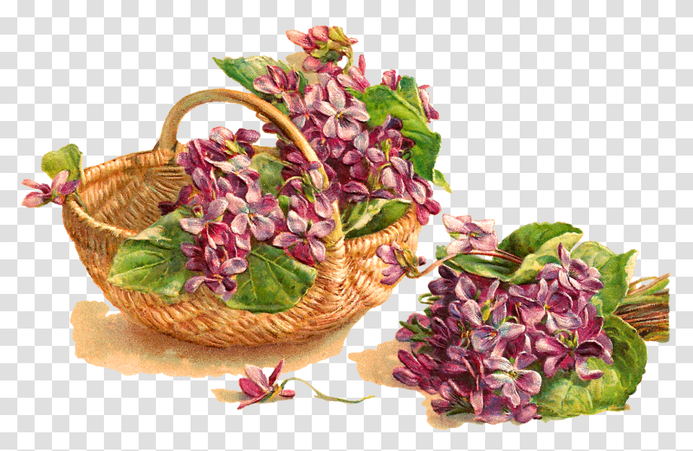 Flower Violet Basket Download Image Carte De Vux Anciennes, Plant, Blossom, Floral Design, Pattern Transparent Png