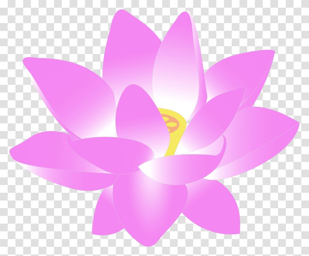 Flower Water Lily Pink Clipart Lotus Flower, Plant, Blossom, Pond Lily, Petal Transparent Png