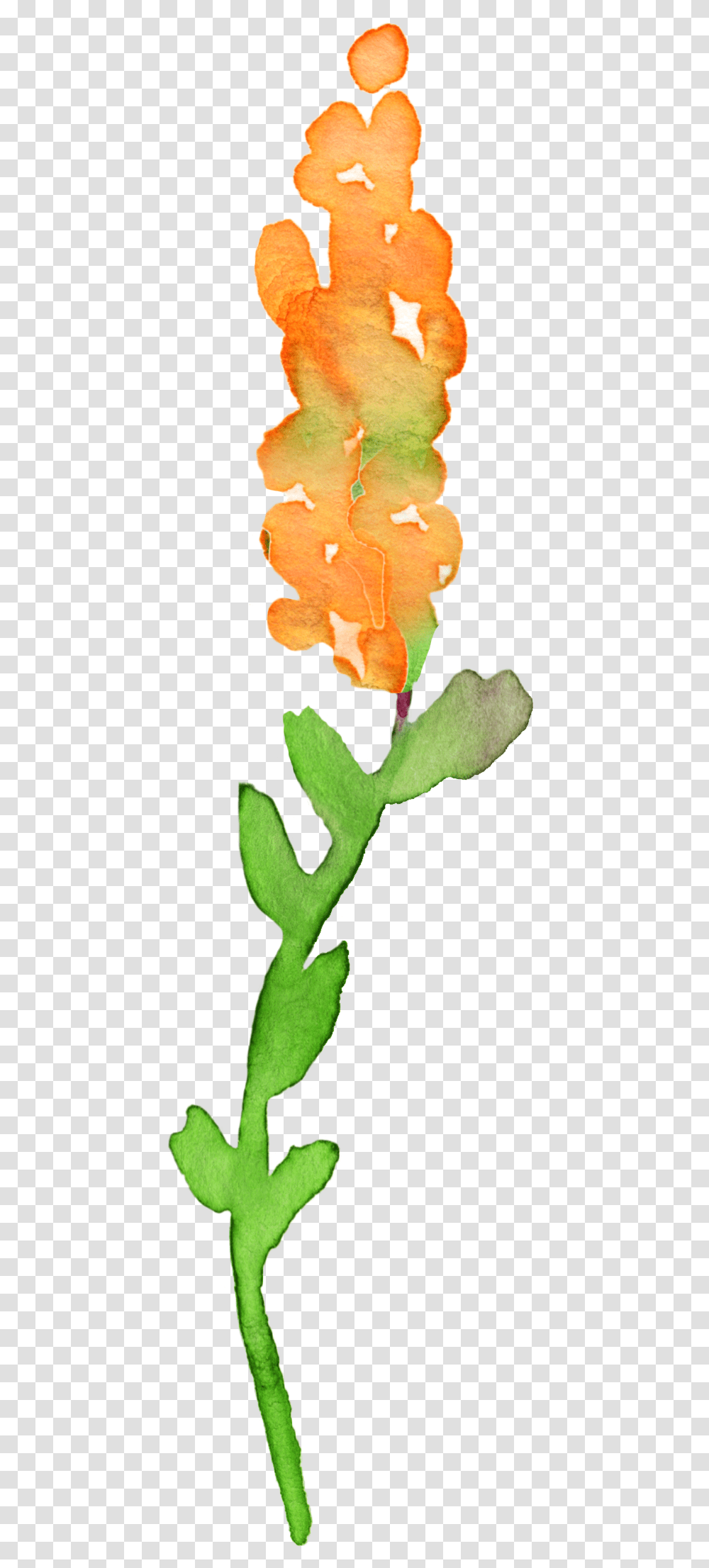 Flower Watercolor Clip Art, Plant, Leaf, Blossom, Bud Transparent Png