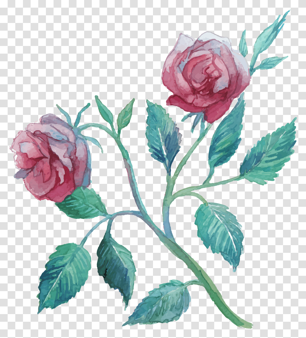 Flower Watercolor Painting Clip Art Transprent Flower Watercolor Painting, Rose, Plant, Blossom, Petal Transparent Png