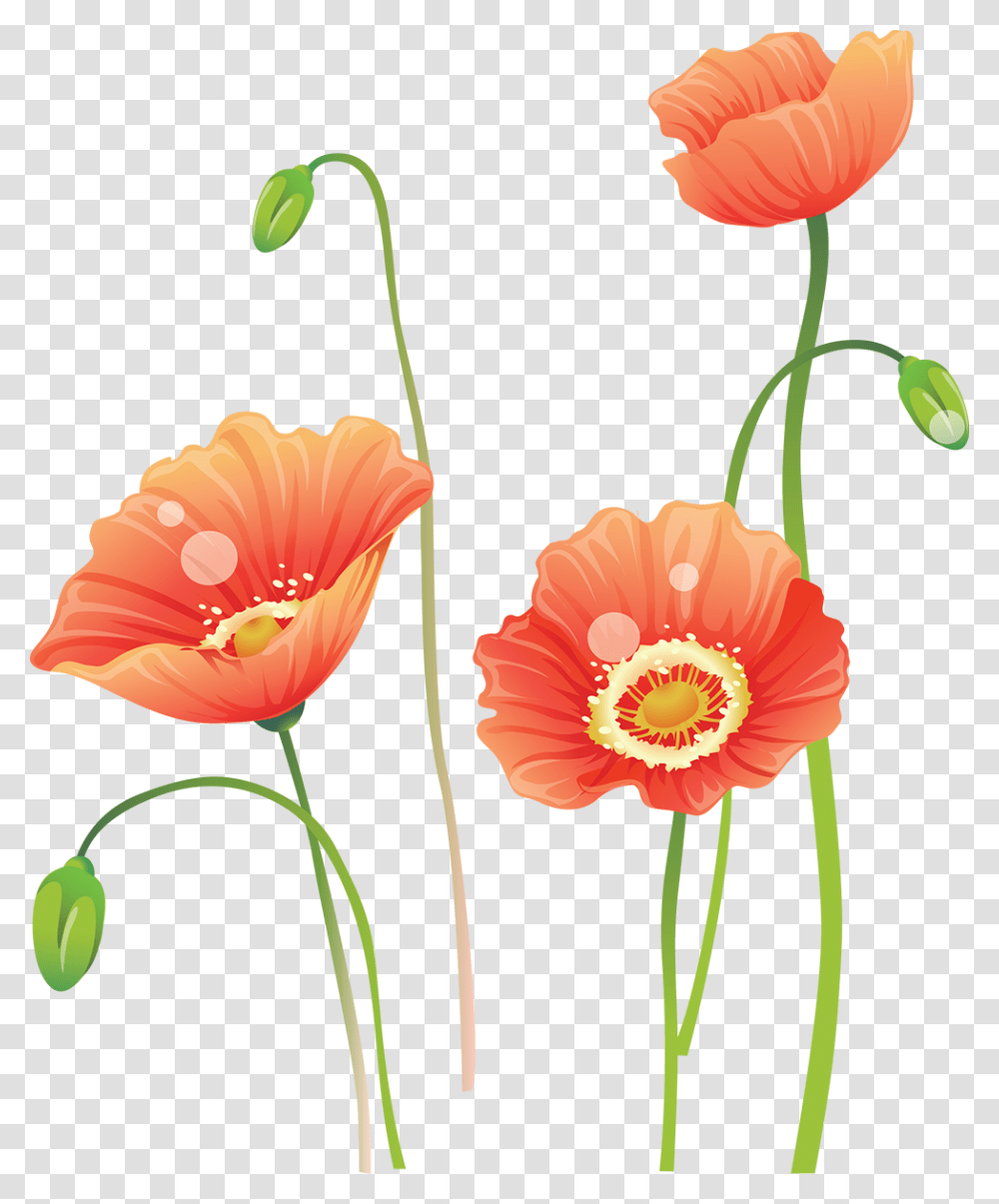 Flower Watercolor Painting Portable Network Graphics, Plant, Blossom, Anther, Poppy Transparent Png