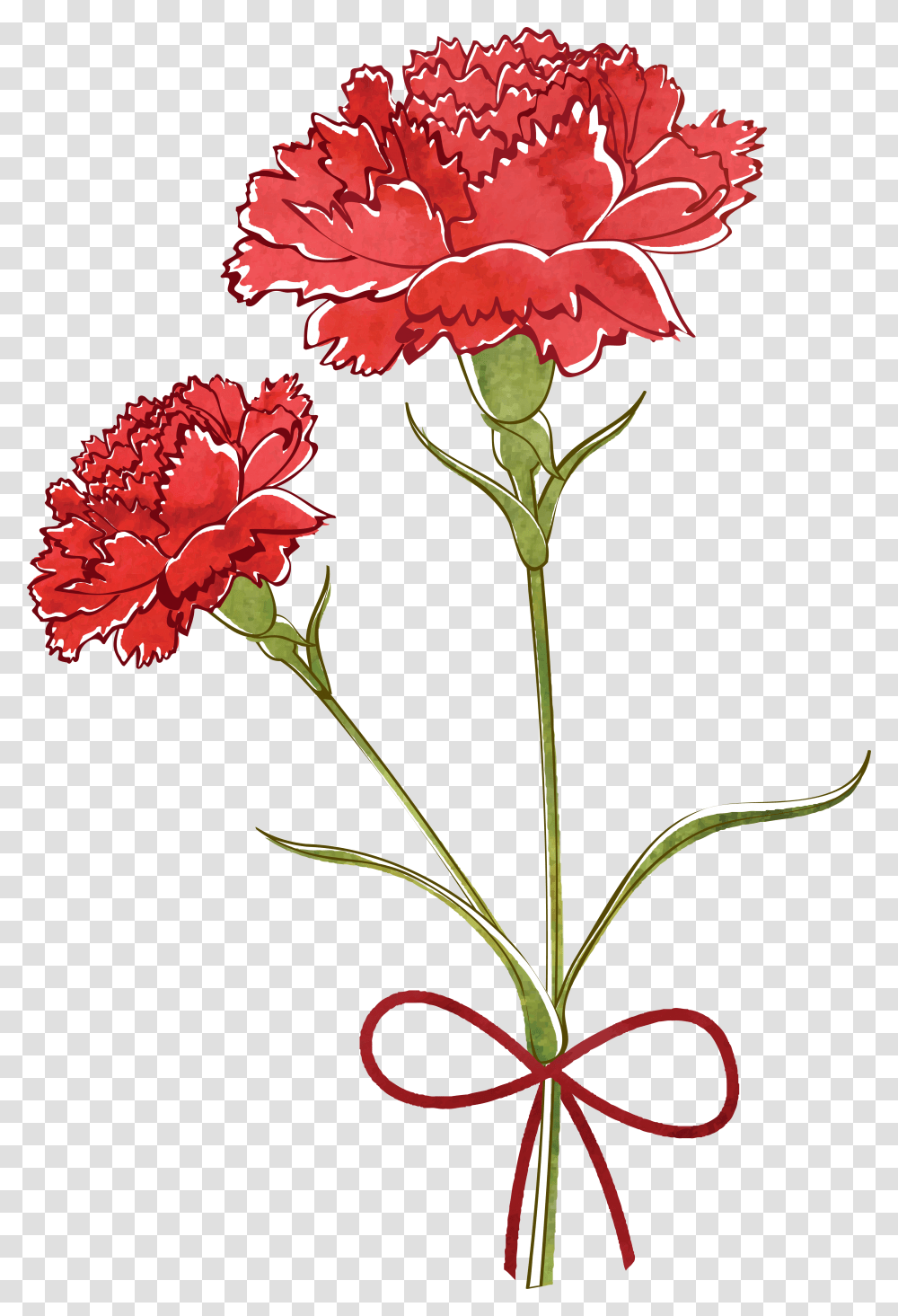 Flower Watercolor Painting Transprent Free Download Carnation Vector Free, Plant, Blossom Transparent Png