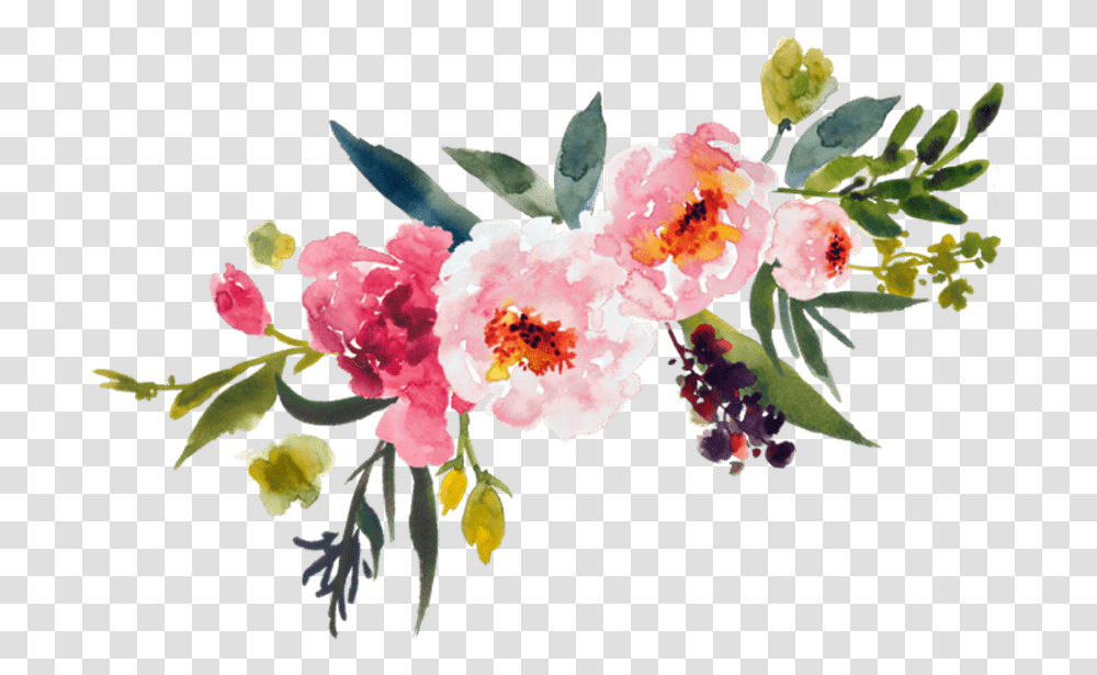 Flower Watercolor, Plant, Blossom, Flower Arrangement Transparent Png