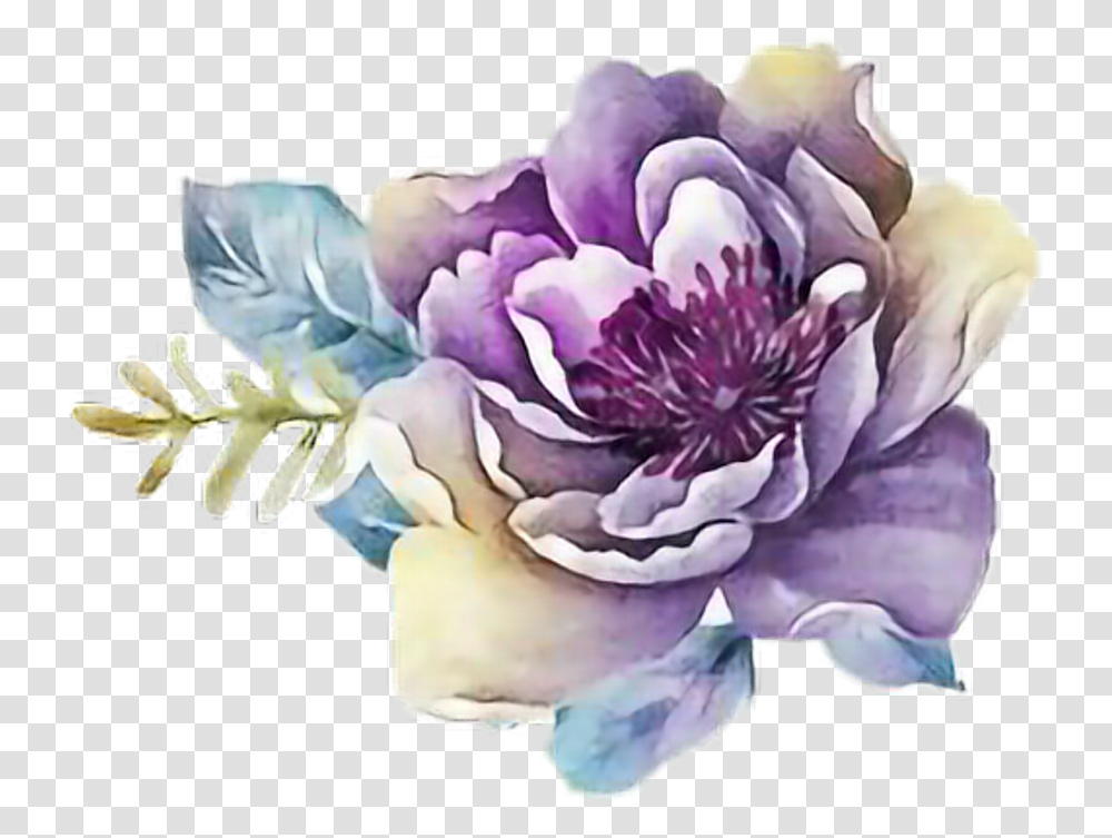 Flower Watercolor Purple Watercolor Flower, Plant, Rose, Dahlia, Carnation Transparent Png