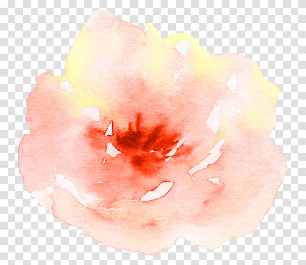 Flower Watercolor Watercolour Peach Aesthetic Pretty Peach Aesthetic Orange, Petal, Plant, Blossom, Person Transparent Png