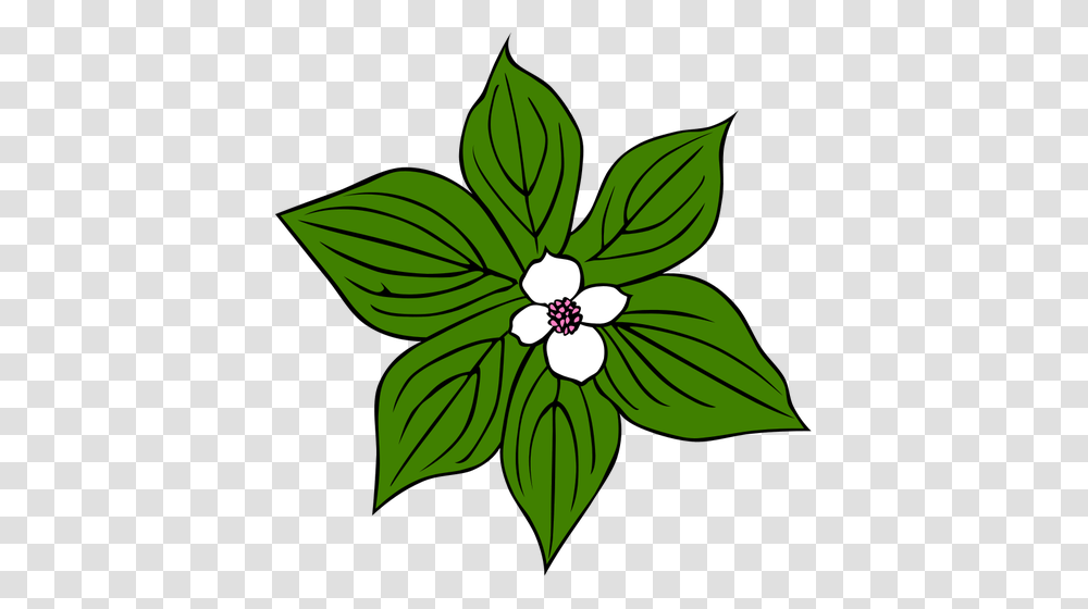 Flower With Green Leaves Vector Art, Leaf, Plant, Floral Design, Pattern Transparent Png