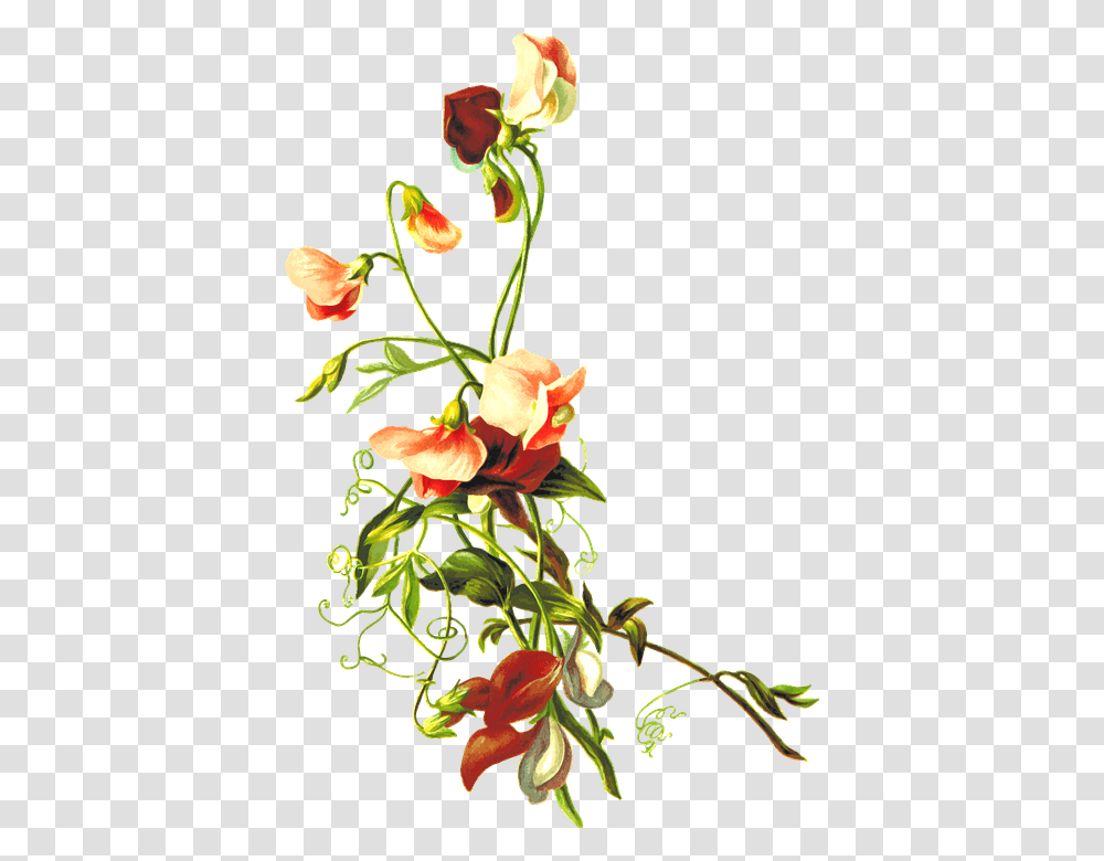 Flower With Leaf, Ikebana, Vase, Ornament Transparent Png