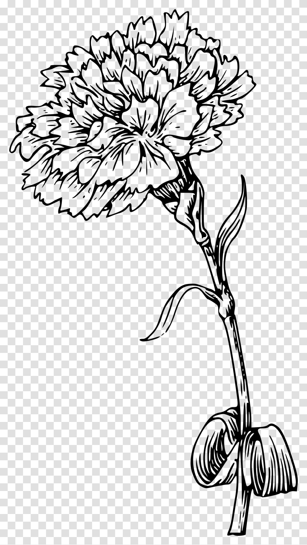 Flower With Stem Carnation Tattoo Designs, Gray, World Of Warcraft Transparent Png