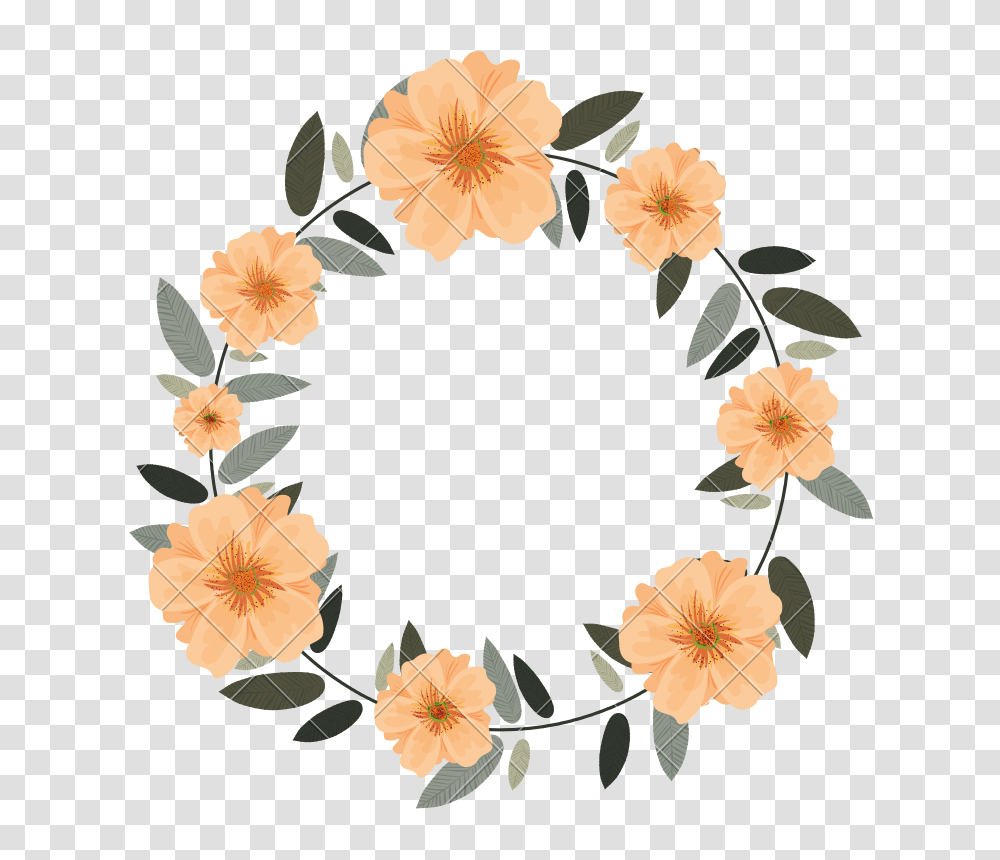 Flower Wreath, Plant, Blossom, Floral Design, Pattern Transparent Png