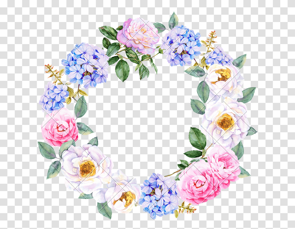 Flower Wreath Watercolor Background Flower Wreath, Plant, Blossom, Rose, Flower Arrangement Transparent Png
