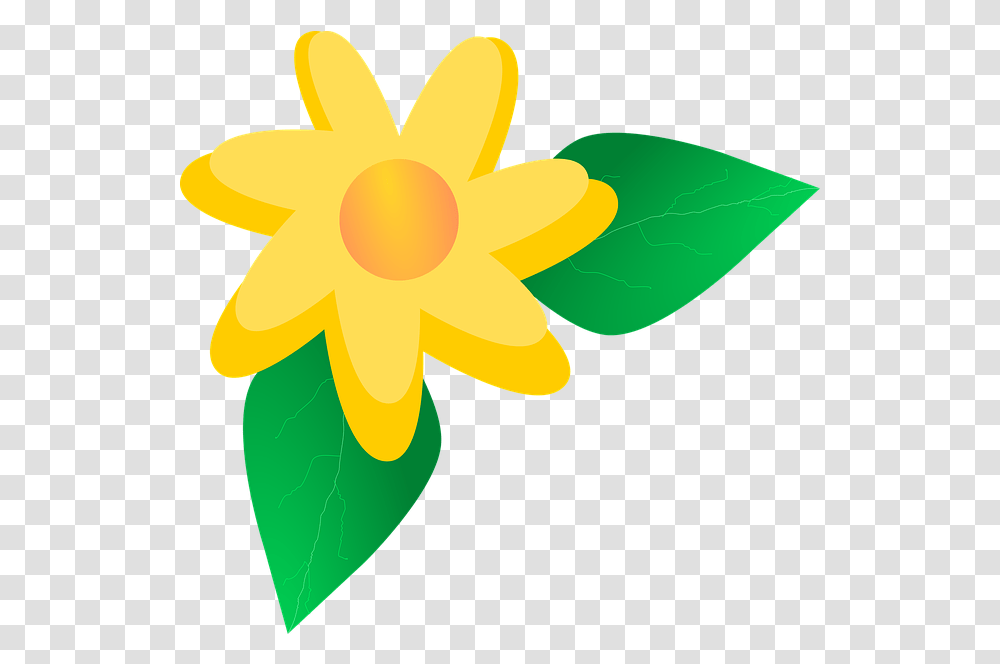 Flower Yellow Clipart Clipart, Plant, Blossom, Daffodil, Daisy Transparent Png