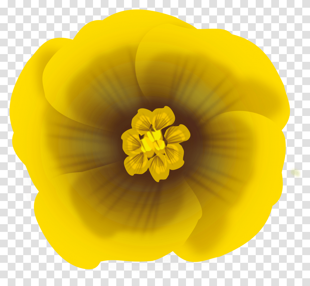 Flower Yellow Icons Desenho Flor Amarela, Plant, Pollen, Blossom, Fungus Transparent Png