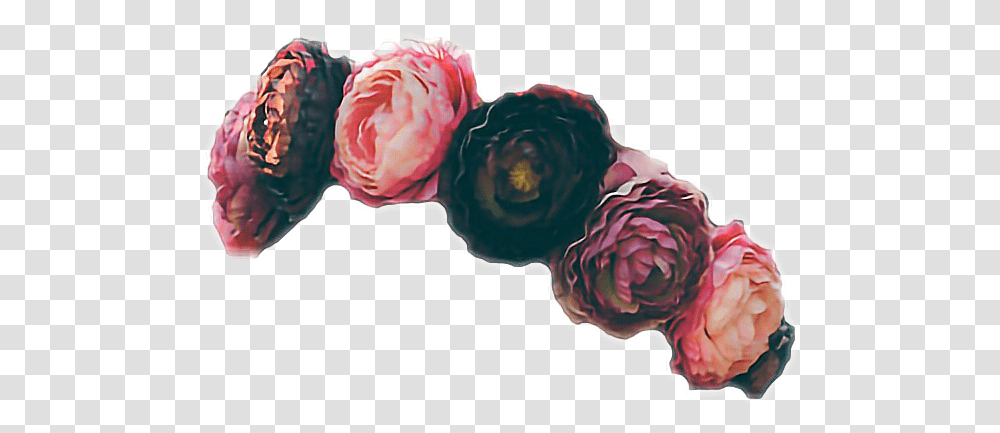 Flowercrown Red Aesthetic Red And Black Flower Crown, Plant, Person, Food, Produce Transparent Png