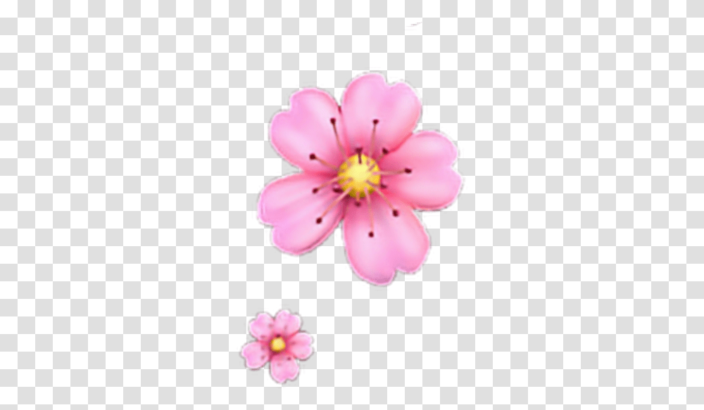 Floweremoji Flower Emoji Iphone Flower Emoji, Plant, Anther, Blossom, Petal Transparent Png