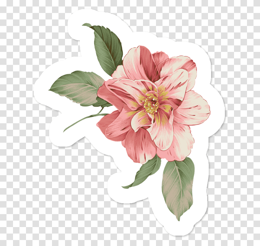 Flowering Flower Art Pattern Drawing Vector Flowers Flor Rosa 3d, Plant, Hibiscus, Blossom, Dahlia Transparent Png